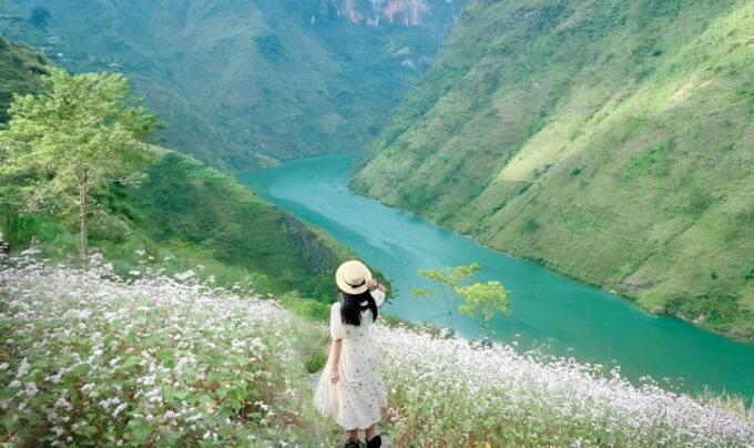 From Ha Noi: Ha Giang, Dong Van Rock Plateau 2-Day, 3-Night - Local Guide Services