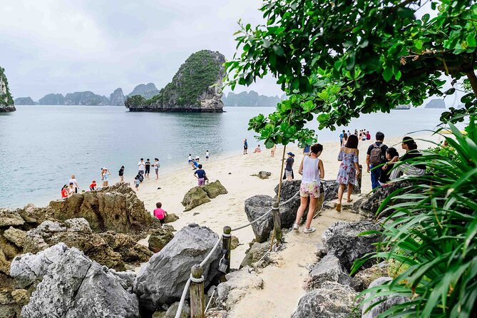 From Ha Noi- Ha Long Bay With Buffet Lunch on Luxury Cruise - Additional Costs and Fees
