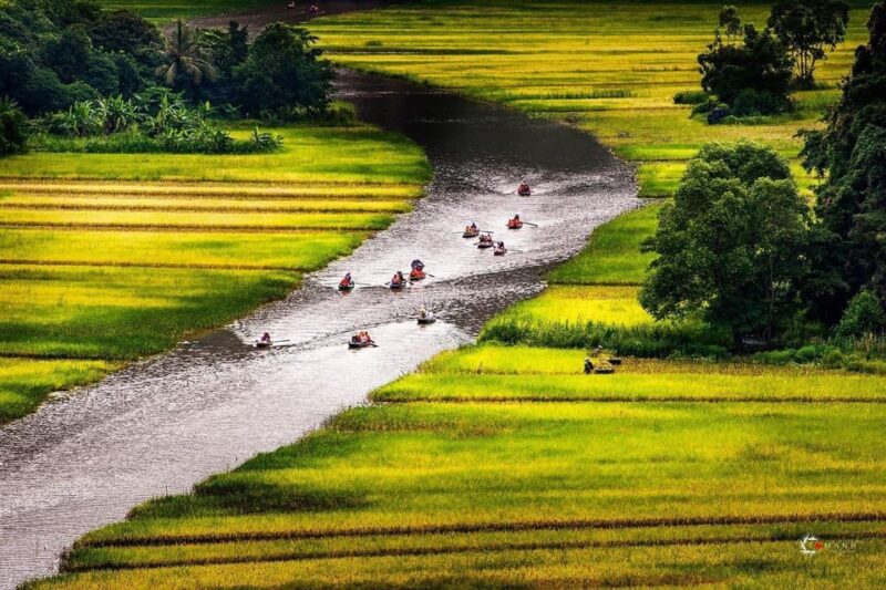 From Ha Noi: Ninh Binh 2 Days & Cuc Phuong National Park - Day 1 Activities