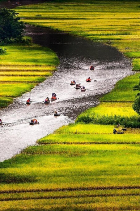 From Ha Noi: Ninh Binh 2 Days & Cuc Phuong National Park - Day 2 Explorations