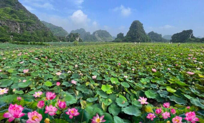 From Ha Noi: Ninh Binh 2 Days & Cuc Phuong National Park - Accommodation and Meals