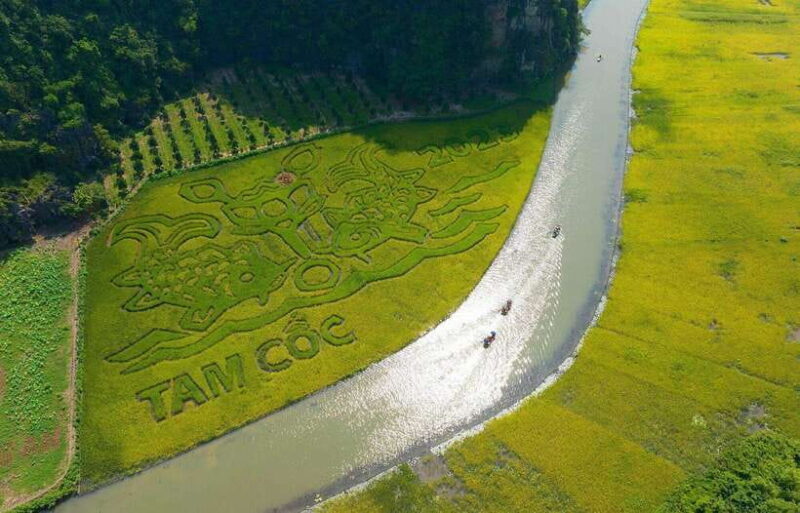 From Ha Noi: Private Incense Village& Ninh Binh Tour 1 Day - Key Points