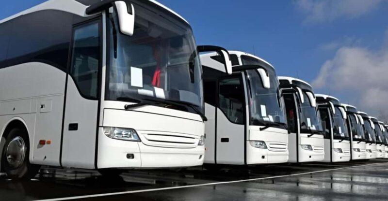 From Ha Noi: Transporation to Hoi an by Limousine Bus - Transportation Experience