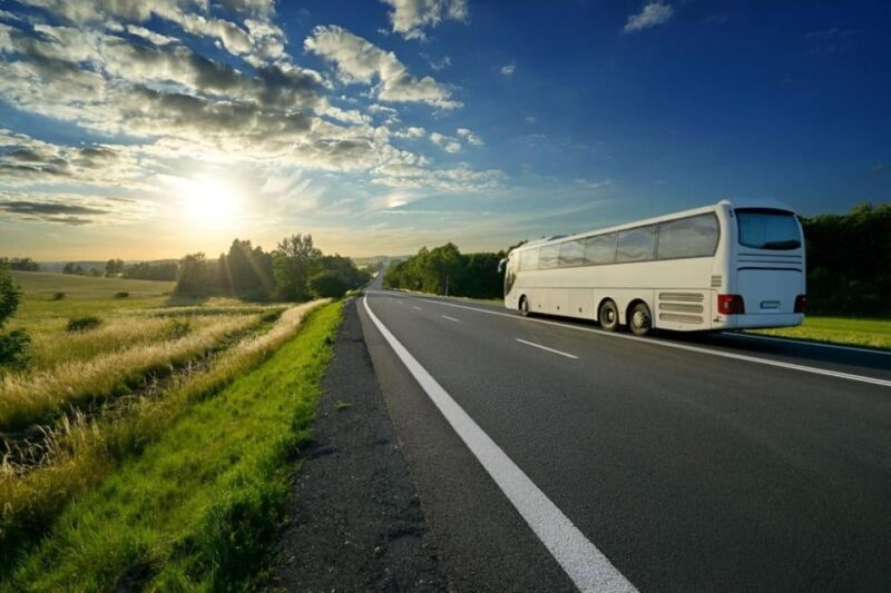 From Ha Noi: Transporation to Hoi an by Limousine Bus - Amenities and Features