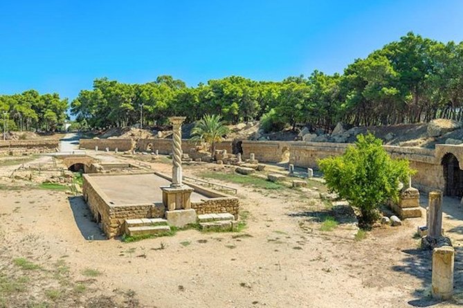 From Hammamet: Carthage, Bardo Museum, Sidi Bou Said and Medina - Transportation and Accessibility