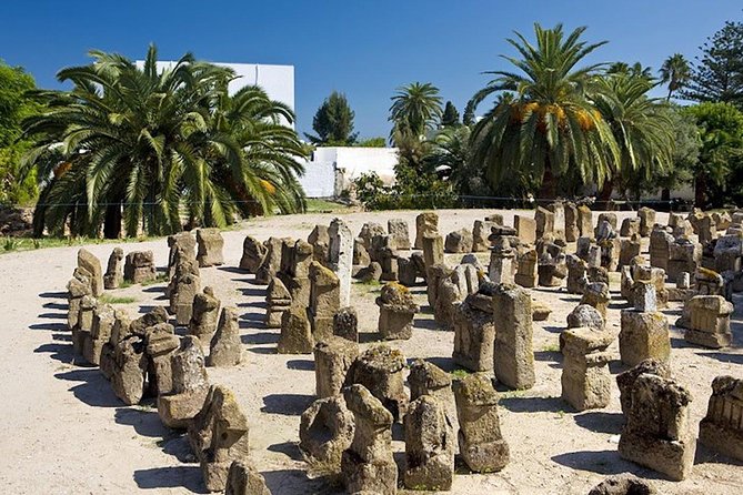 From Hammamet: Carthage, Bardo Museum, Sidi Bou Said and Medina - Included Meals and Fees