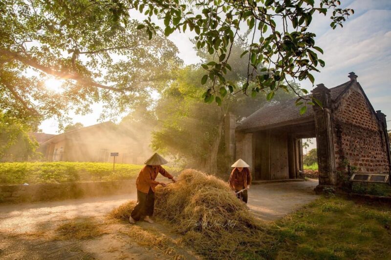 From Hanoi: 1-Day Duong Lam Ancient Village Tour and Biking - Key Points