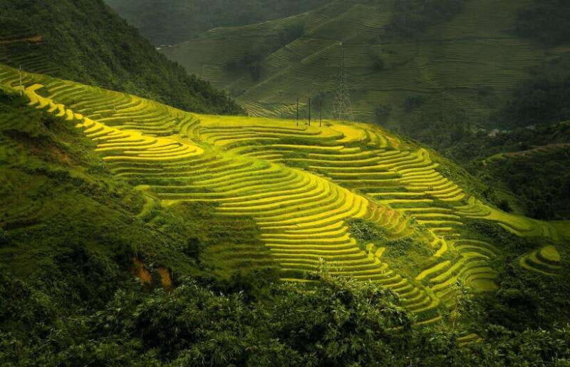 From Hanoi: 1-day Sapa Trekking Tour With Overnight Bus - Hiking Experience