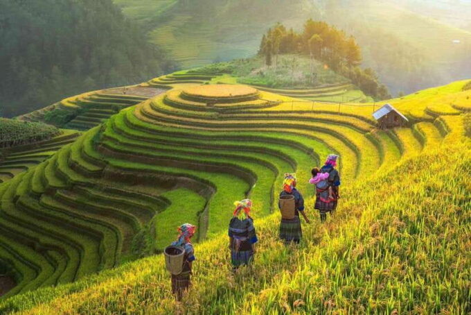 From Hanoi: 1-day Sapa Trekking Tour With Overnight Bus - Preparing for the Trek