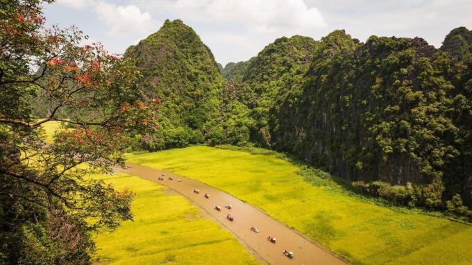 From Hanoi: 1D Group Tour to Visit Ninh Binh - Lunch & Bus - Tour Pricing