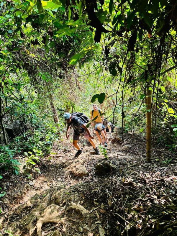 From Hanoi: 2-Day Adventure Cat Ba National Park, Lan Ha Bay - Trekking and Hiking at Navy Peak
