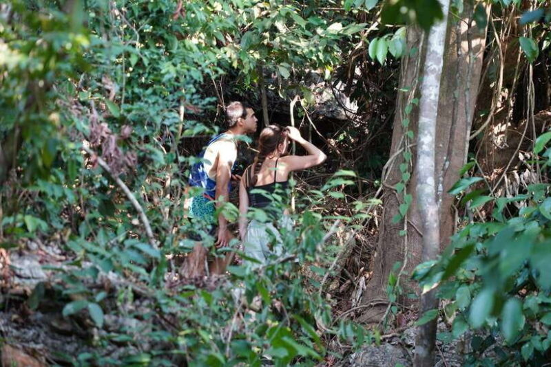 From Hanoi: 2-Day Cat Ba Island Adventure - Day 2: Discovering Cat Ba Island