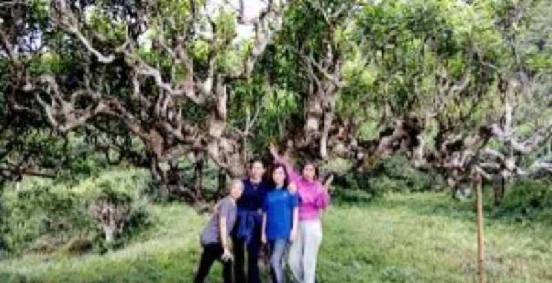 From Hanoi: 2-Day Ha Thanh Waterfall and Khuoi My Village … - Frequently Asked Questions