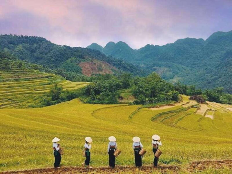 From Hanoi: 2-Day Mai Chau & Puluong Adventure - Key Points
