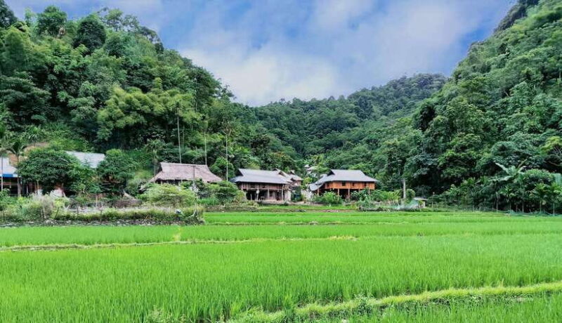 From Hanoi: 2-Day Mai Chau & Puluong Adventure - Frequently Asked Questions