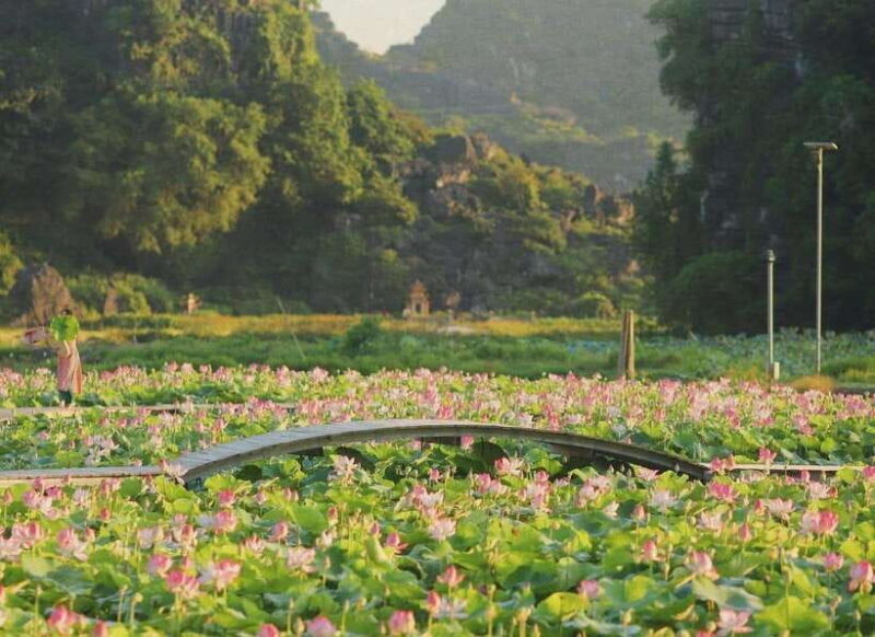 From Hanoi: 2-Day Ninh Binh, Hoa Lu, and Trang An Tour - Cycling Through Local Villages