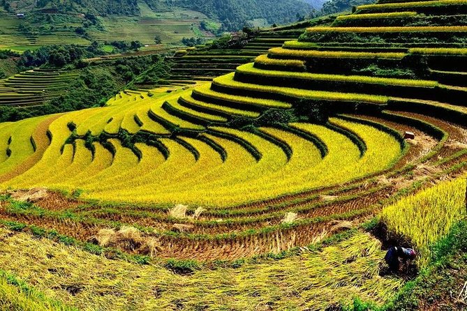 From Hanoi: 2-Day Overnight Sapa Tour by Luxury Van Limousine - Hiking and Trekking