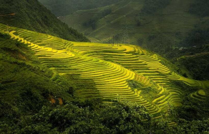 From Hanoi: 2-Day Pu Luong Nature Reserve Tour - Thai Ethnic Culture and Brocade Village