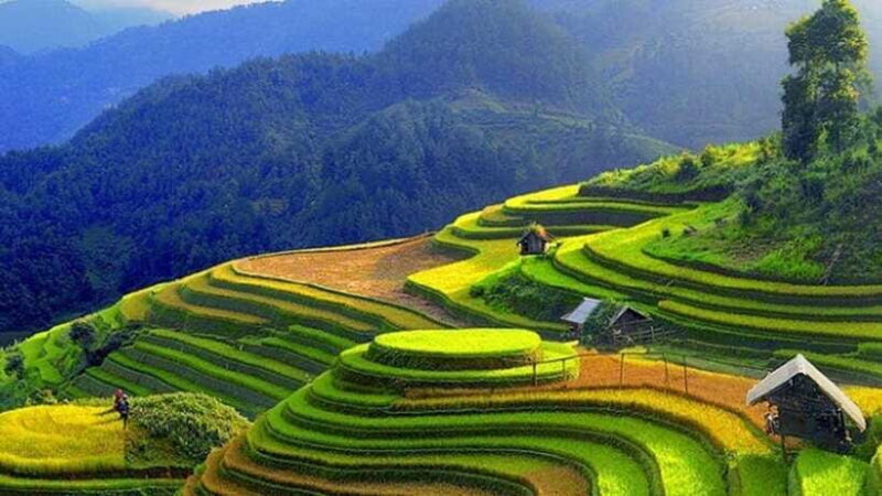 From Hanoi: 2-Day Pu Luong Nature Reserve Tour - Cham Stream Adventure