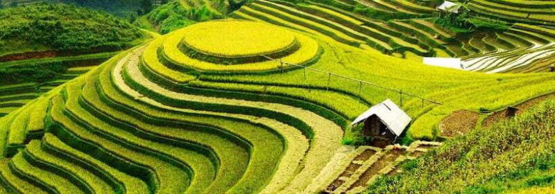 From Hanoi: 2-Day Pu Luong Nature Reserve Tour - Important Information and Packing Tips