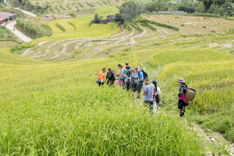 From Hanoi: 2-Day Sa Pa Ethnic Homestay Tour With Trekking - Key Activities