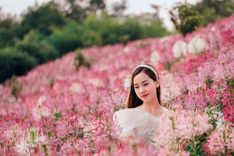From Hanoi: 2-Day Sapa, Fansipan, and Muong Hoa Valley Tour - Inclusions