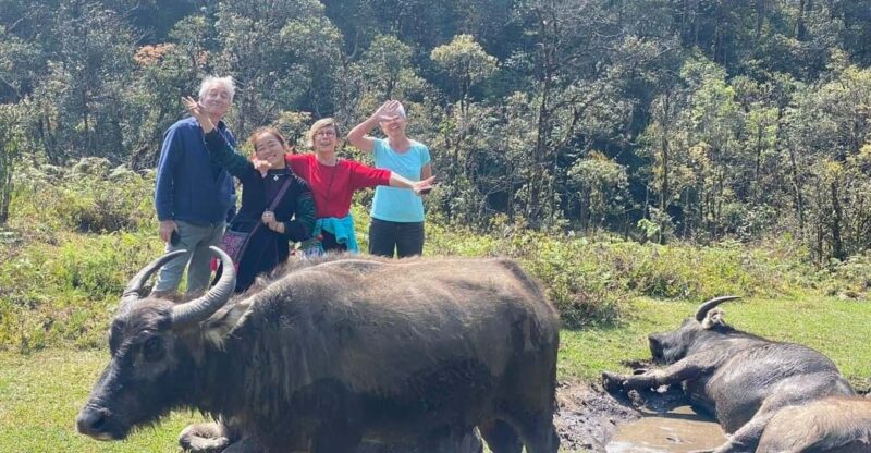 From Hanoi: 2-Day Sapa Trek& Overnight in Cosy Ethnic Family - Itinerary Highlights