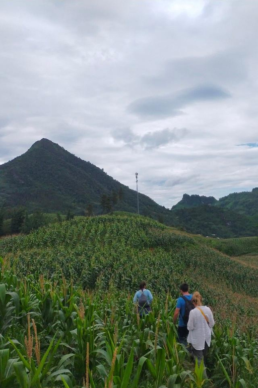 From Hanoi: 2-Day Sapa Trek& Overnight in Cosy Ethnic Family - Cooking Class With Locals