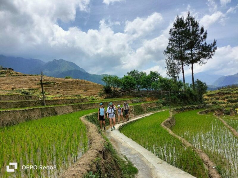 From Hanoi: 2-Day Sapa Trek& Overnight in Cosy Ethnic Family - Transportation and Logistics