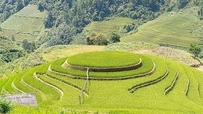 From Hanoi: 2 Day Sapa Trekking To Village & Bungalow - Booking and Check-in Details