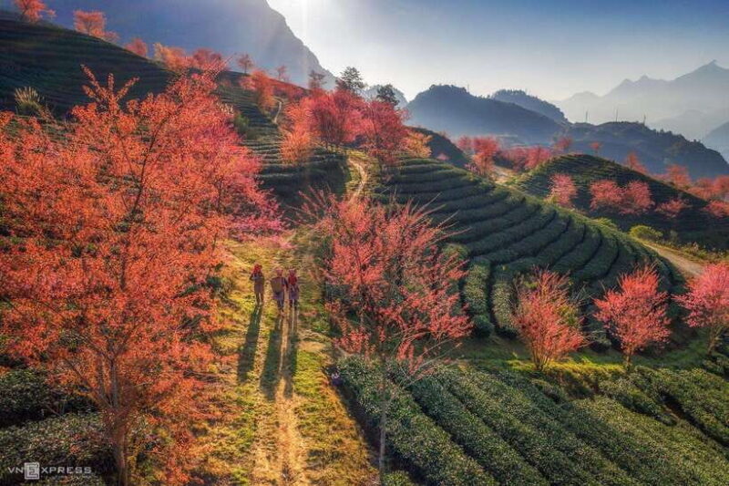 From Hanoi: 2-Day Sapa Trekking Tour (Sleep at Hotel) - Inclusions