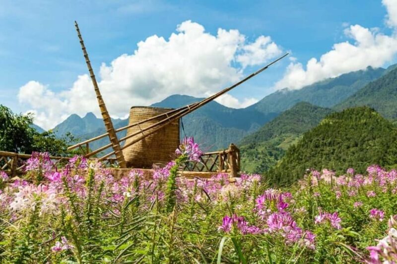 From Hanoi: 2-Day Sapa Trekking Tour With Limousine Transfer - Transportation and Accommodation