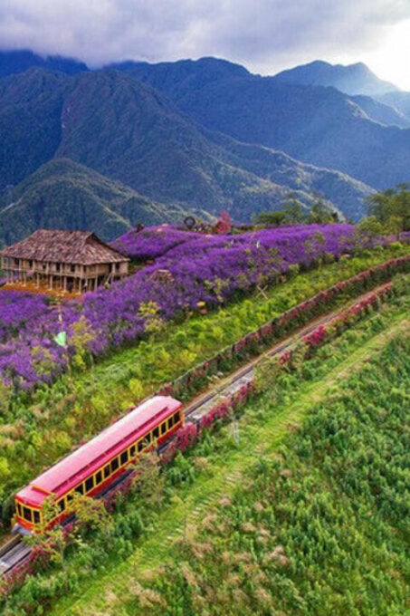 From Hanoi: 2-Day Sapa Trekking Tour With Limousine Transfer - Booking and Cancellation Policy