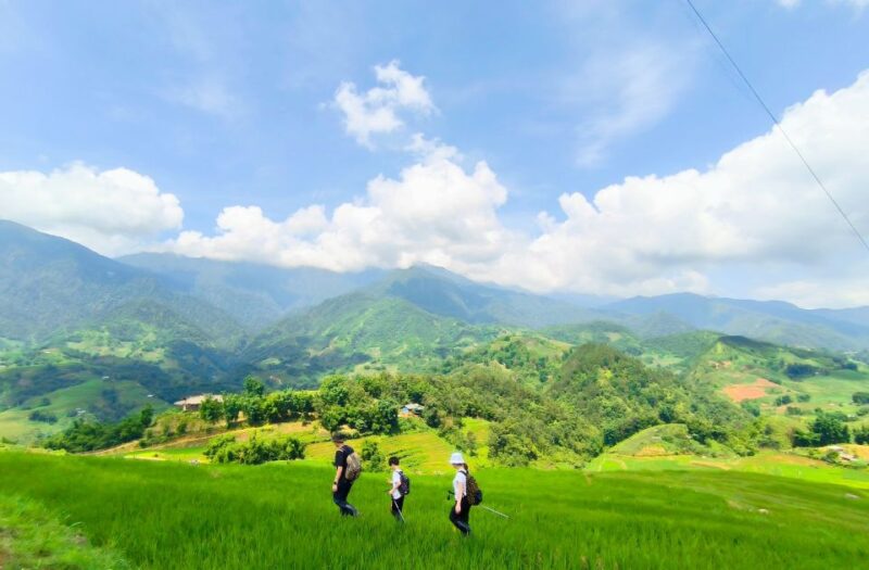 From Hanoi: 2-Day Sapa Trekking Tour With Limousine Transfer - Lao Chai and Ta Van Villages