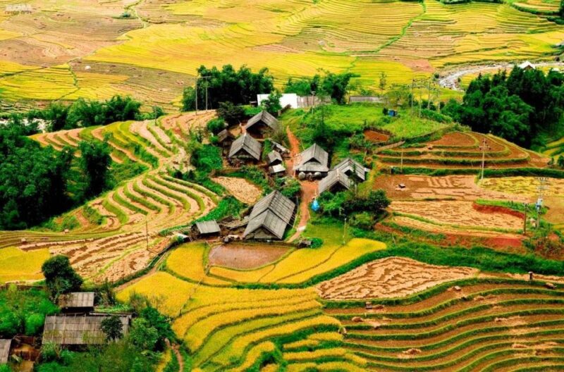 From Hanoi: 2-Day Sapa Trekking Trip With Homestay & Meals - Trekking Through Verdant Terrain