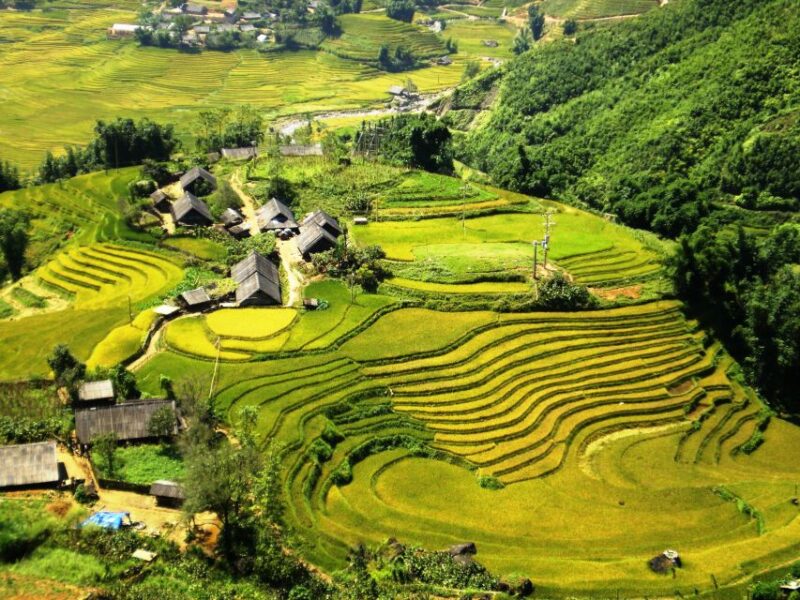 From Hanoi: 2-Day Sapa Trekking Trip With Homestay & Meals - Discovering Bamboo Forest Wonders