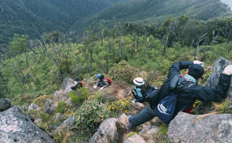 From Hanoi: 2-Day Ta Xua Trekking Adventure - Accommodation and Meals