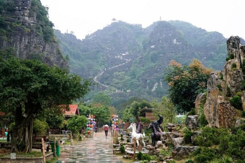 From Hanoi: 2-Day Tour Ninh Binh & Ha Long Bay Luxury Cruise - Ninh Binh Highlights