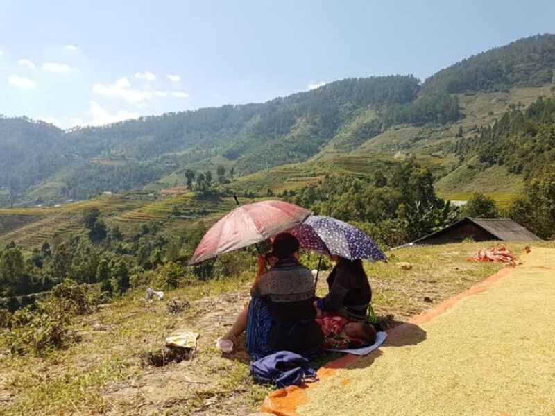 From Hanoi: 2-Day Trekking to Villages in Sapa With Homestay - Tribal Culture Immersion