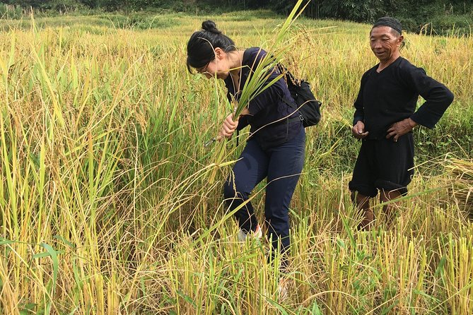 From Hanoi: 2 Days Sapa Trek & Fansipan Adventure With Dcar - Afternoon Activities on Day 1