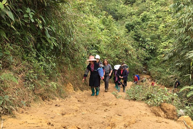From Hanoi: 2 Days Sapa Trek & Fansipan Adventure With Dcar - Day 2: Fansipan and Return