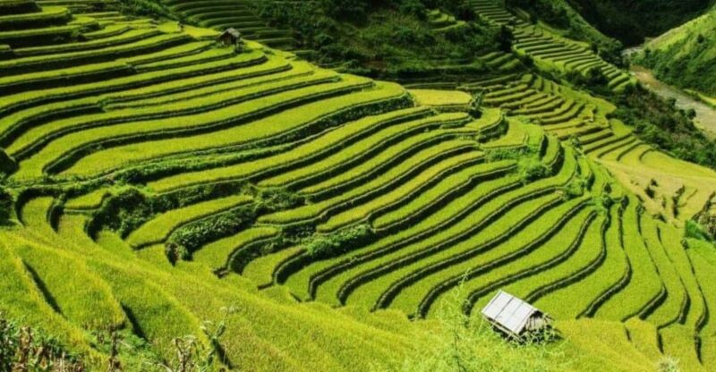 From Hanoi: 2-Days Sapa Trekking Tour Lao Chai and Cat Cat - Activities and Highlights