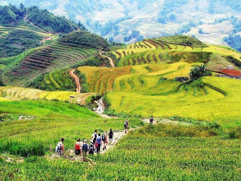 From Hanoi: 2-Days Trekking Sapa With Ethnic Minority Guide - Day 1: Hanoi to Sapa