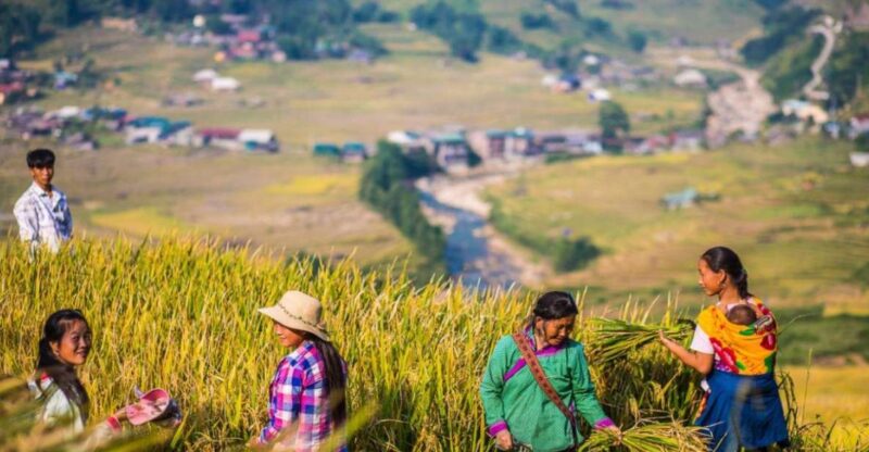 From Hanoi: 2D1N Sapa Homestay Trek With Overnight Bus - Trekking Activities