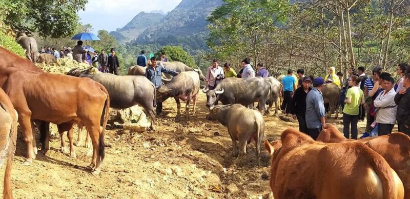 From Hanoi: 3-Day Best Of Ha Giang Loop Private Tour - Scenic Journey via Lo River