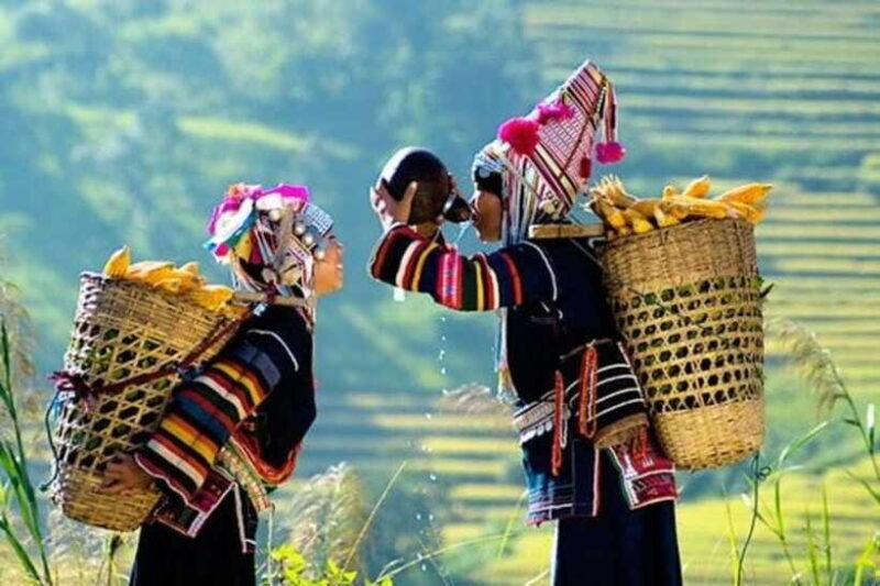 From Hanoi: 3-Day Guided Tour of Sapa With 3-Star Hotel - Customer Feedback