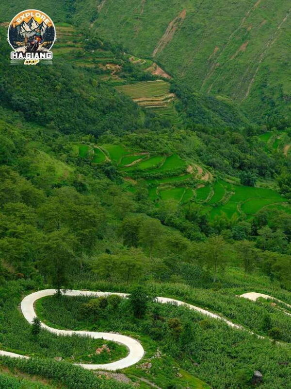 From Hanoi: 3-Day Ha Giang Loop Motorbike Tour - Tour Overview and Pricing