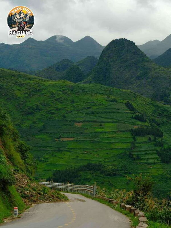 From Hanoi: 3-Day Ha Giang Loop Motorbike Tour - Day 2: Traversing Tham Ma Pass and Visiting Lung Cu and Vuong Family Residence