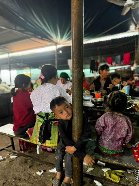 From Hanoi: 3-Day Ha Giang Loop Motorbike Tour - Safety and Precautions