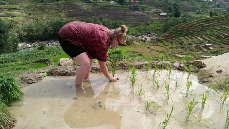 From Hanoi: 3-Day Homestay Trekking in Sapa Tour - Discovering Ta Van Homestay